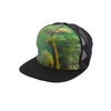 The Artist Snapback - Spacecraft