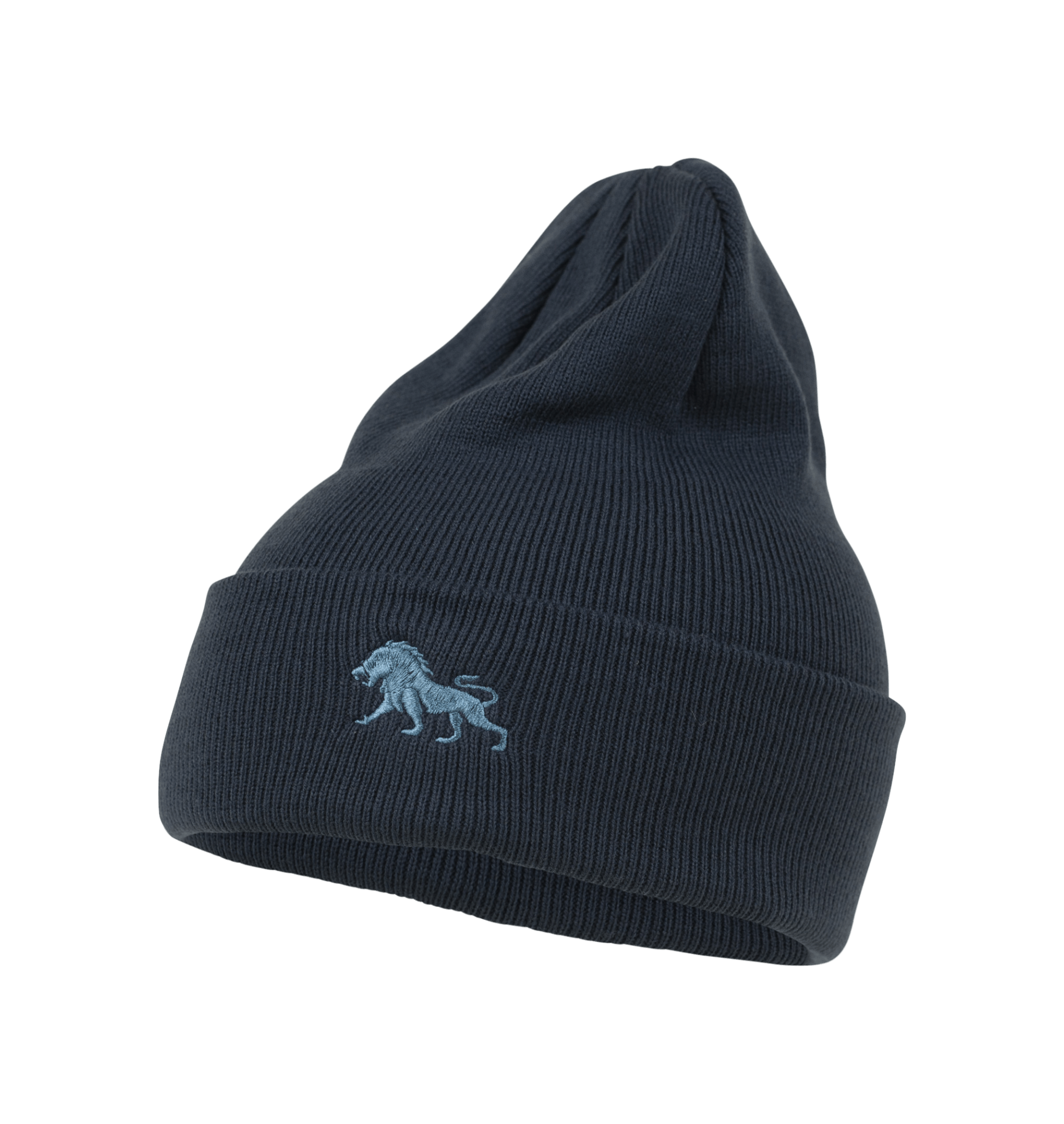 Wild Cuff Beanie - Spacecraft